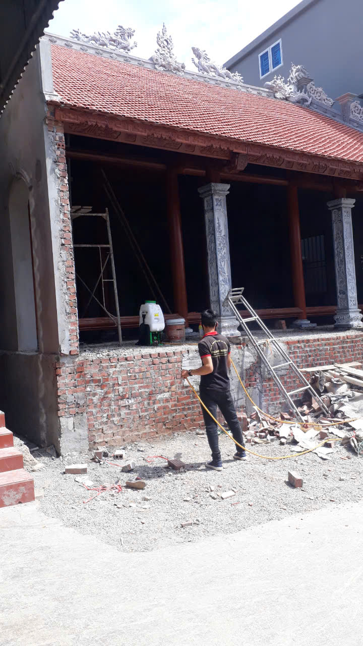 diệt mối tại phan thiết bằng phương pháp sinh học 